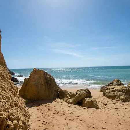 102 Hibiscus Monte Dourado 公寓 *