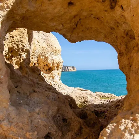 102 Hibiscus Monte Dourado * كارفويرو