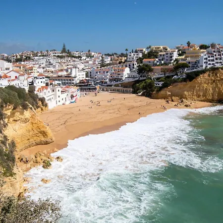 102 Hibiscus Monte Dourado *